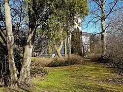 Verwaarloosde voortuin