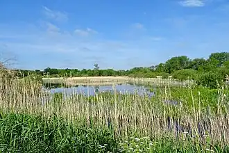 Friese Veen bij Paterswolde