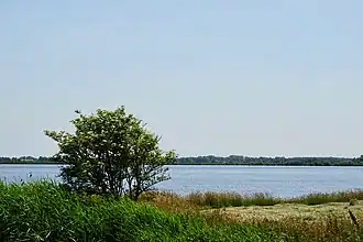 Het Eeltjemeer anno 2020