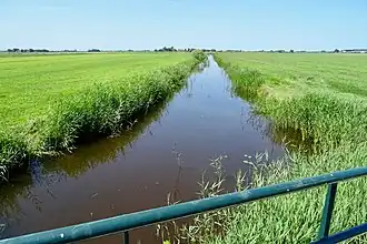 De Ingeloane nabij het Eeltjemeer