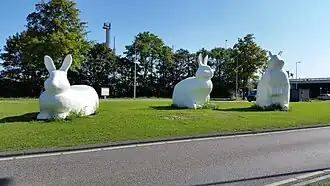 Berm bunnies (september 2020)