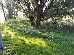 Brug 1165 in het landschap (oktober 2020)