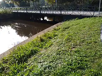 Zijaanzicht van de Albert Helmanbrug (oktober 2020)