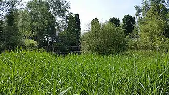 Brug 1898 (mei 2020)