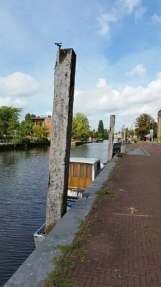 Het duikstertje (september 2020)