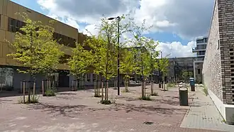 Geertje Wielemaplein (juli 2020)