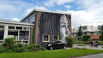 Muurschildering Emanuel van Meterenstraat (augustus 2020)