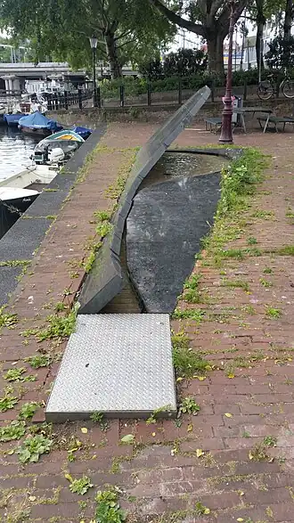 Omgevallen boom (augustus 2020)