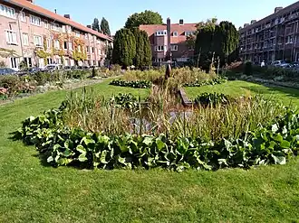 Plantsoen Harmoniehof (september 2020)
