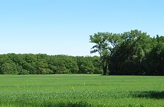 De akker in Hooghalen, omringd door bosranden