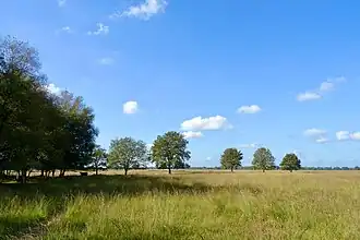 Het Scharreveld anno 2021