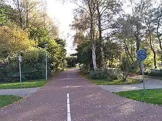 Brinkiepad gezien vanaf Meibergpad (oktober 2021)