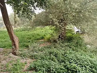 Duikerbrug 1173 in omgeving (september 2021)
