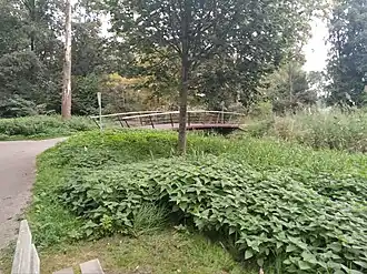 Brug 1197 in het bos (september 2021)