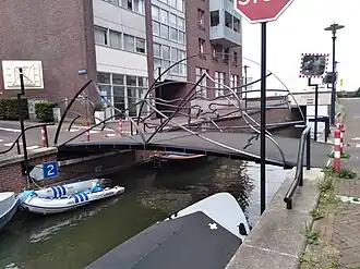 Conscience (augustus 2021)