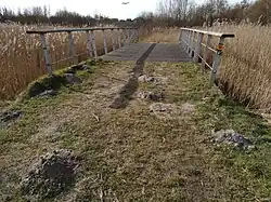 Brug 2156 in een graspad (februari 2021)