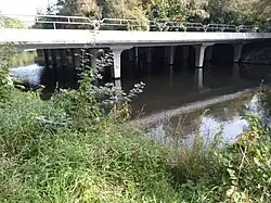 Paddenstoelkolommen (september 2021)