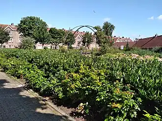 Groengebied plein (juli 2021)