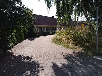 Begroeiing langs weg