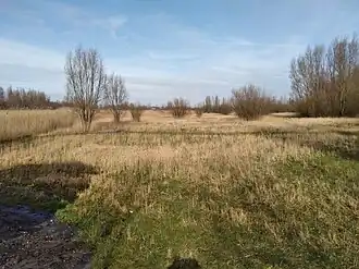 Lutkemeerpark (februari 2021)