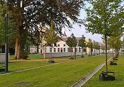 Nieuwe tuinaanleg: groene laan