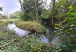 Waterloop Kanjelbeek