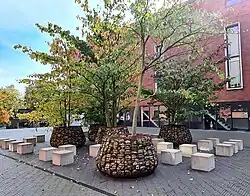 Boomkorven en zitelementen op de Boschcour