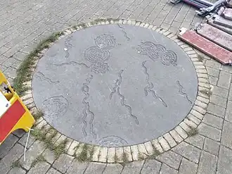 Tegel met Ziekte van Lyme (september 2021)