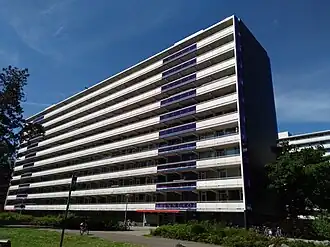 Spinnekop (juni 2021)