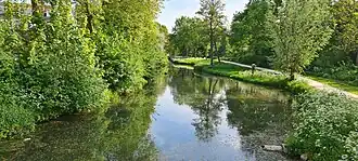 De Dode Linge in 2022