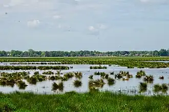 De Onnerpolder anno 2022