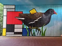 Onderdeel Waterhoen (oktober 2022)