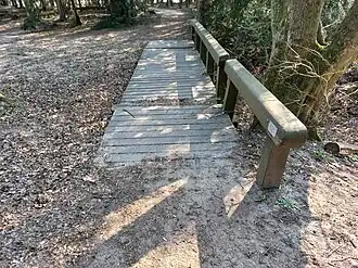 Nutteloze Brug 521 (maart 2022)