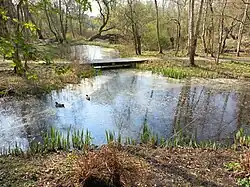 Brug 725 met brugplaatje in het midden (maart 2022)