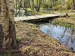 Brug 726 met brugplaatje in het midden (maart 2022)