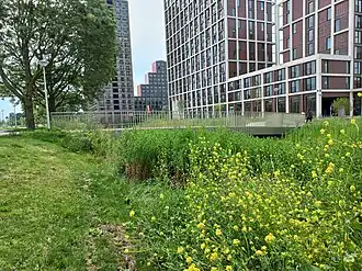 Brug 875 na oplevering (juni 2022)