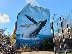 Bultrug van Rodermans (februari 2022)