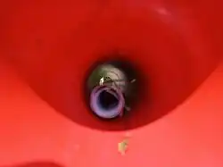 Als 'klaagmuur' (mei 2022)