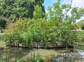 Het eilandschip (juni 2022)