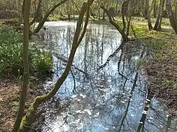 Heemtuin Sloterpark (maart 2022)