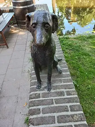 Het hondje (juli 2022)