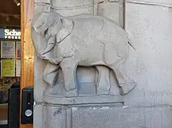 Olifant (maart 2022)