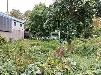 Achter de moestuin de Hoptillebrug (september 2023)