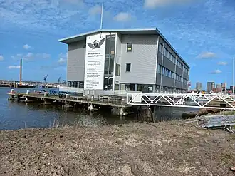 De bonte zwaan (maart 2023)