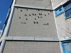 Dansende broodjes (april 2023)