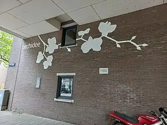 Orchidee (augustus 2023)