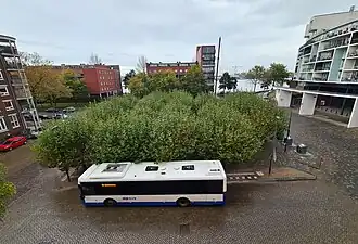 'Buspleintje' met leiplatanen