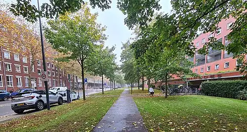 Grasstrook met esdoorns en voetpad van stelconplaten