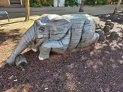 Olifant (september 2024)