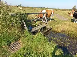 Brug 2087 (september 2024)